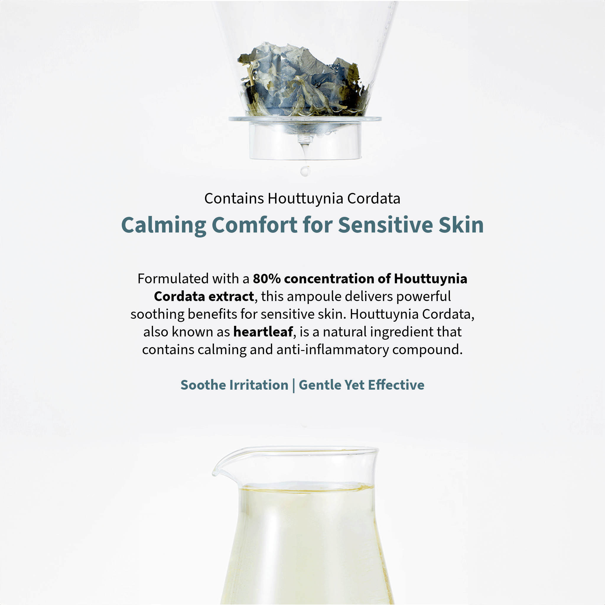 Anua Heartleaf 80% Moisture Soothing Ampoule